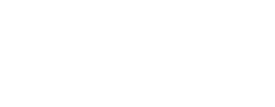 MVNO Logo